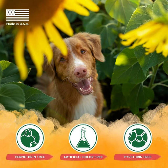 Tropiclean Natural Flea & Tick Shampoo Maximum Strength For Dogs 20 oz - Dog Flea Shampoos & Sprays 11