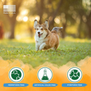 Tropiclean Natural Flea & Tick Soothing Shampoo for Dogs (20 oz) - Dog Flea Shampoos & Sprays 11