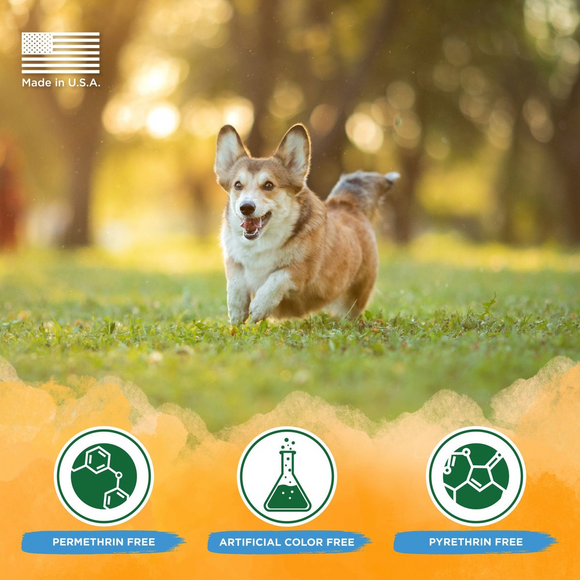 Tropiclean Natural Flea & Tick Soothing Shampoo for Dogs (20 oz) - Dog Flea Shampoos & Sprays 11