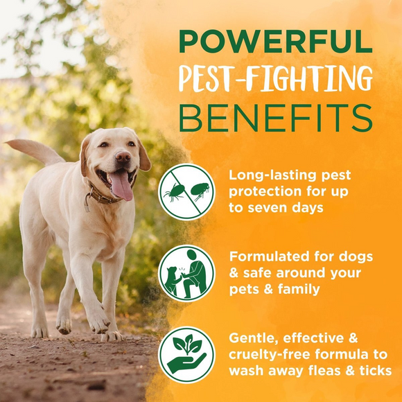 Tropiclean Natural Flea & Tick Soothing Shampoo for Dogs (20 oz) - Dog Flea Shampoos & Sprays 3