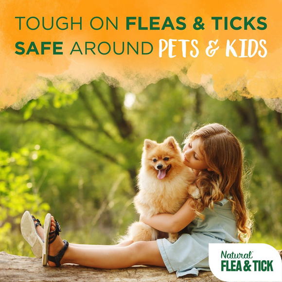 Tropiclean Natural Flea & Tick Soothing Shampoo for Dogs (20 oz) - Dog Flea Shampoos & Sprays 2