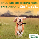 Tropiclean Natural Flea & Tick Yard Spray (32 oz) - Pet Flea & Tick Control 5