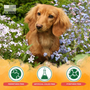 Tropiclean Natural Flea & Tick Yard Spray (32 oz) - Pet Flea & Tick Control 7