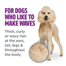 TropiClean PerfectFur Curly & Wavy Coat Shampoo for Dogs (16 oz)