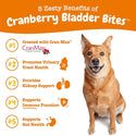 Zesty Paws Cranberry Bladder Bites Bacon Flavored Chews for Dogs (90 ct)