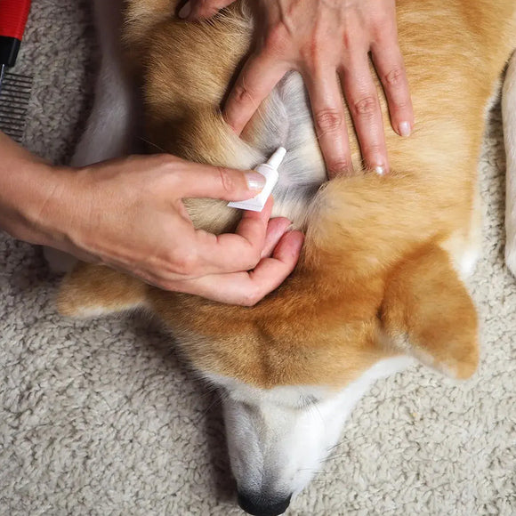 TVATI Massage Oil