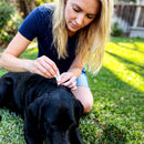 TVATI Pet Massage Oil 30 doses - 0.5ml 1-pack (for Pets) - Dog & Cat Joint Supplement 3