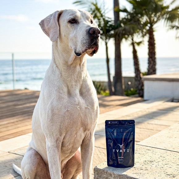 TVATI Pet Massage Oil 30 doses - 0.5ml 1-pack (for Pets) - Dog & Cat Joint Supplement 9