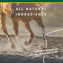 U-Gard Gastric Support Pellets for Horses - Horse Health & Wellness 6