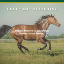U-Gard Gastric Support Pellets for Horses - Horse Health & Wellness 5