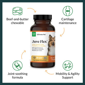 Features of Ultimate Pet Nutrition Juve Flex Advance Hip & Joint Support for Dogs