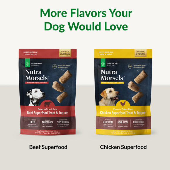 Two packages of Nutra Morsels dog treats, one beef and one chicken, on a white background.