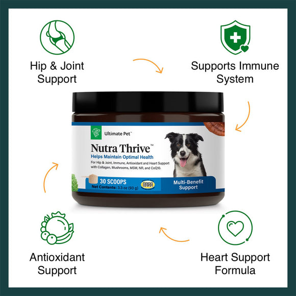 Benefits of Ultimate Pet Nutrition Nutra Thrive Nutritional Supplements for Dogs, 3.3-oz