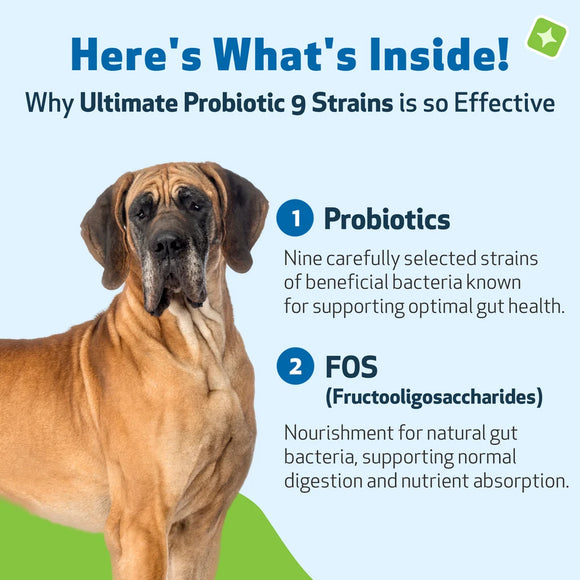 Ultimate Probiotic 9 Strains with Prebiotics for Cats (5.64 oz) - cat Vitamins & Supplements 12
