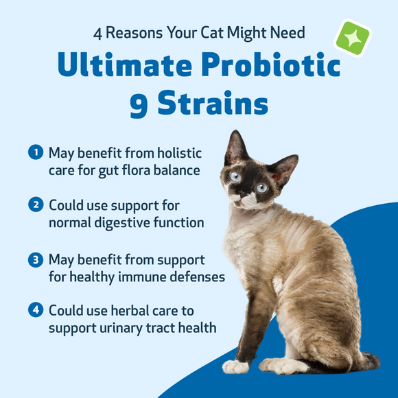 Ultimate Probiotic 9 Strains with Prebiotics for Cats (5.64 oz) - cat Vitamins & Supplements 5