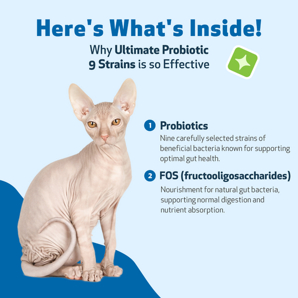 Ultimate Probiotic 9 Strains with Prebiotics for Cats (5.64 oz) - cat Vitamins & Supplements 6