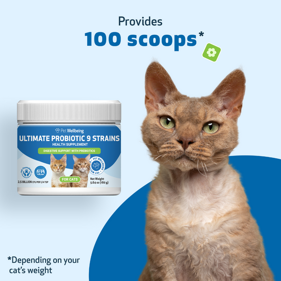 Ultimate Probiotic 9 Strains with Prebiotics for Cats (5.64 oz) - cat Vitamins & Supplements 7