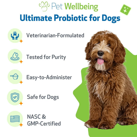 Ultimate Probiotic 9 Strains with Prebiotics for Cats (5.64 oz) - cat Vitamins & Supplements 10