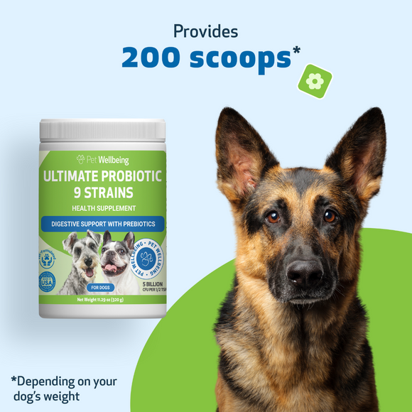 Ultimate Probiotic 9 Strains with Prebiotics for Dogs (11.29 oz) - cat Vitamins & Supplements 7
