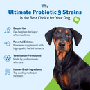 Ultimate Probiotic 9 Strains with Prebiotics for Dogs (11.29 oz) - cat Vitamins & Supplements 5