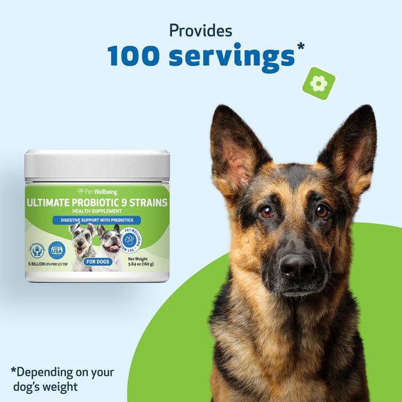 Ultimate Probiotic 9 Strains with Prebiotics for Dogs (11.29 oz) - cat Vitamins & Supplements 12