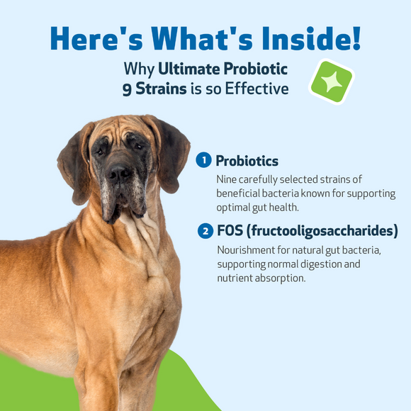 Ultimate Probiotic 9 Strains with Prebiotics for Dogs (11.29 oz) - cat Vitamins & Supplements 9