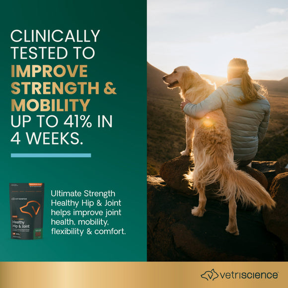 Ultimate Strength Healthy Hip & Joint Chews for Dogs Bacon Flavor