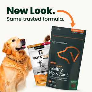 Ultimate Strength Healthy Hip & Joint Chews for Dogs Bacon Flavor - Functional Dog Treats 2