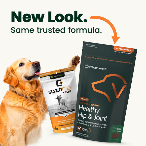 Ultimate Strength Healthy Hip & Joint Chews for Dogs Peanut Butter Flavor - Functional Dog Treats 2