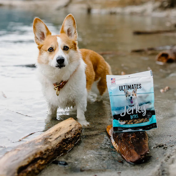 Ultimates Whitefish Protein Jerky Bites Dog Treats (7 oz)