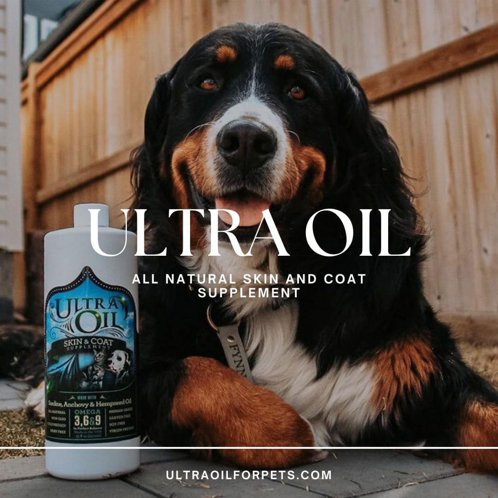 Ultra Oil Skin & Coat Supplement for Dogs & Cats – Shiny, Healthy Coats