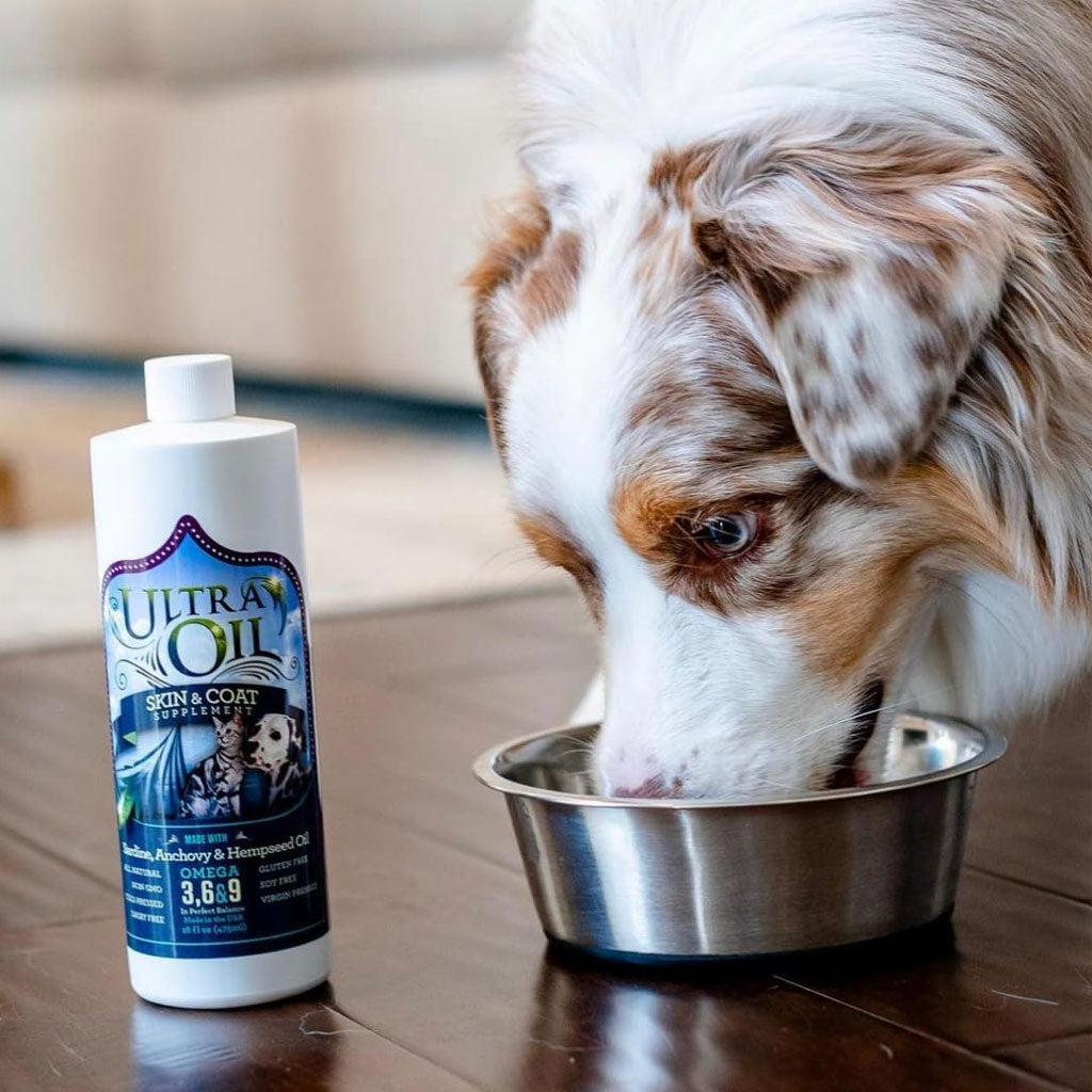 Ultra Oil Skin & Coat Supplement for Dogs & Cats – Shiny, Healthy Coats