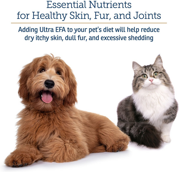 Rx Vitamins Ultra EFA Skin & Coat Supplement for Dogs and Cats