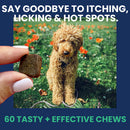 Dog sitting in a field with a hand holding a treat, text about itchy spots and tasty chews.