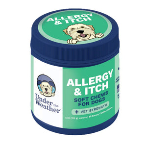 Jar of Under the Weather Allergy & Itch soft chews for dogs on a white background