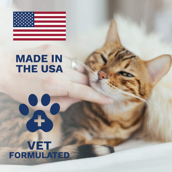 Under the Weather Anti-Diarrhea Liquid for Cats 4-oz - Dog & Cat Digestive & Probiotics Supplements 5
