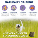 Dog in a grassy field with natural calming ingredients and savory chicken flavor text.