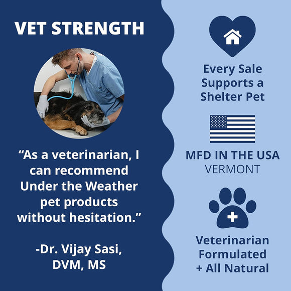 Under The Weather Disc & Spine Vet Strength Support for Dogs (60 soft chews)