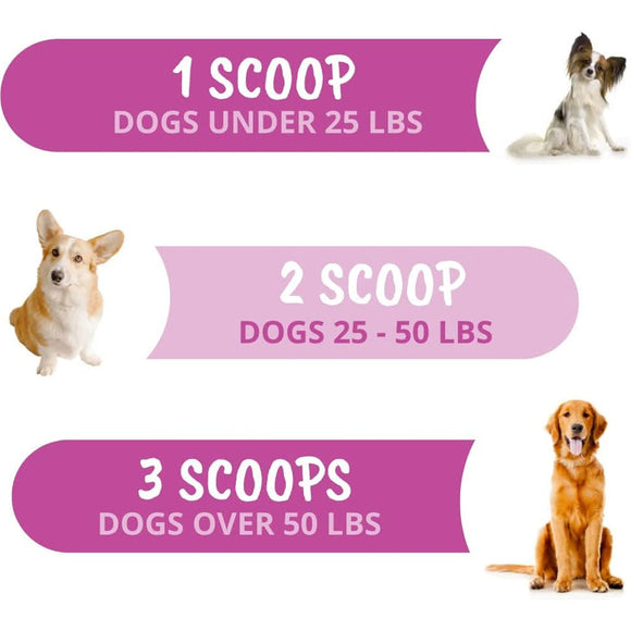 Under the Weather Hip & Joint Powder for Dogs