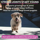 Puppy running on a road with text about joint care for puppies.