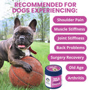 Dog with a ball and a jar of hip and joint supplement on grass, with text about conditions the product is recommended for.