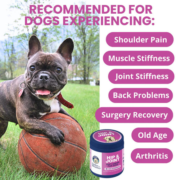 Dog with a ball and a jar of hip and joint supplement on grass, with text about conditions the product is recommended for.