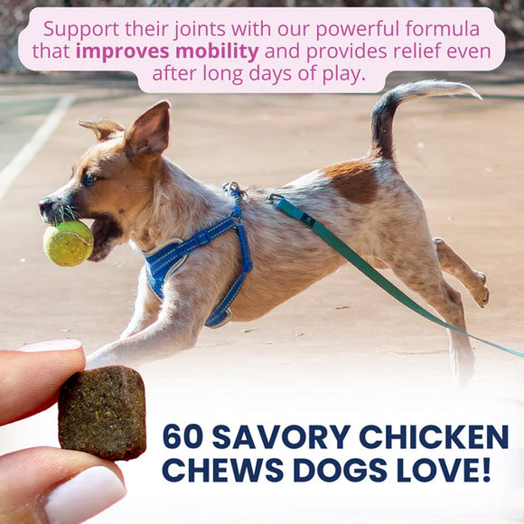 Dog running with a ball, holding a treat, and text about joint support chews.