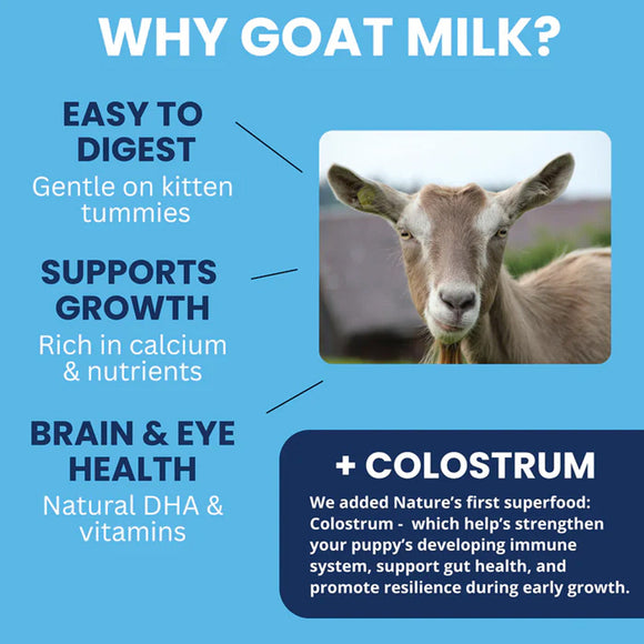 Infographic about goat milk benefits with a picture of a goat on a blue background
