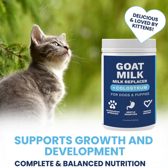Cat next to a bottle of goat milk replacer with text about its benefits