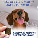 Dog with a treat and text about savory chicken chews