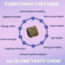Diagram of a tasty chew for pets with health benefits on a purple background