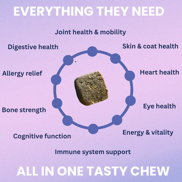 Diagram of a tasty chew for pets with health benefits on a purple background