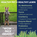 Dog standing on a leash looking at grass with text about pet health and lawn care.