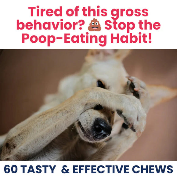 Dog's paws with text about stopping a poop-eating habit and promoting chews.